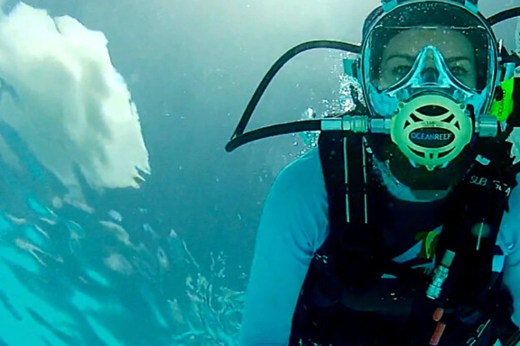 woman diving or snorkeling underwater
