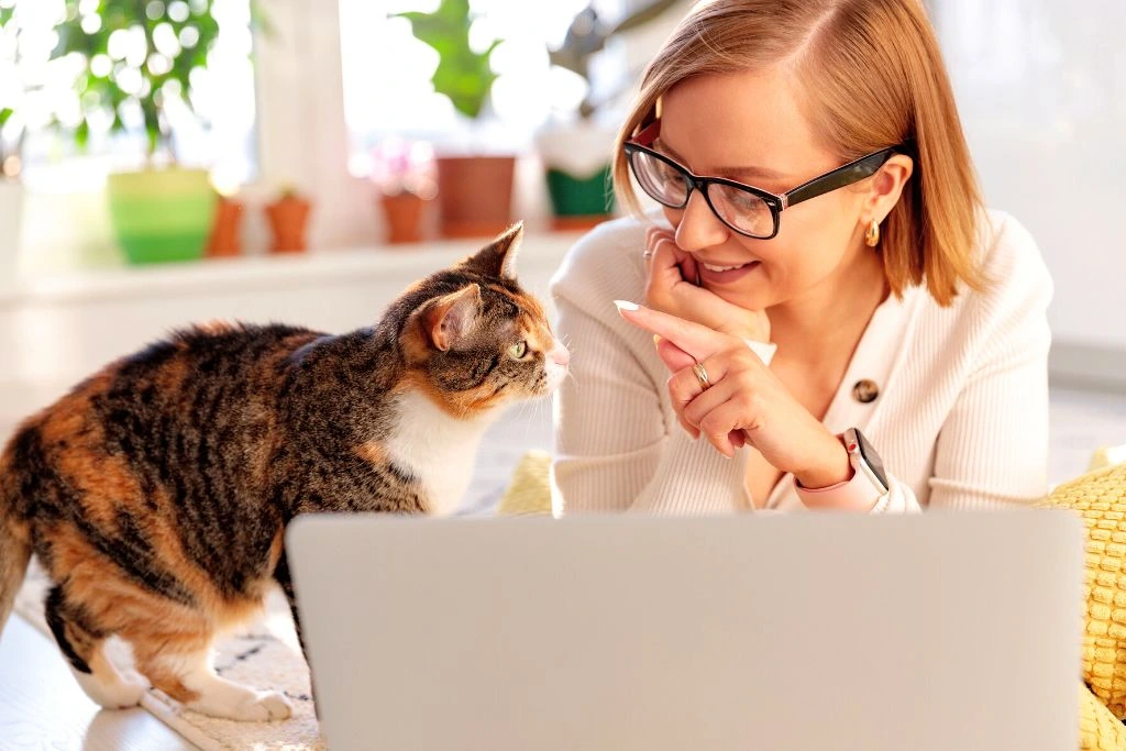 Woman Playing With Cat While Working From Home